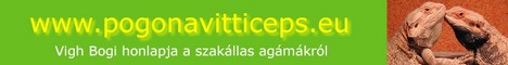 Szak�llas ag�ma - www.pogonavitticeps.eu - Vigh Bogi honlapja a szak�llas ag�m�kr�l